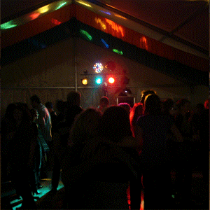 DJ Musik Hochzeit